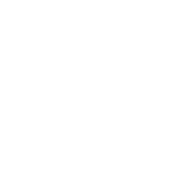 X logo white