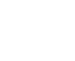 Twitter logo white